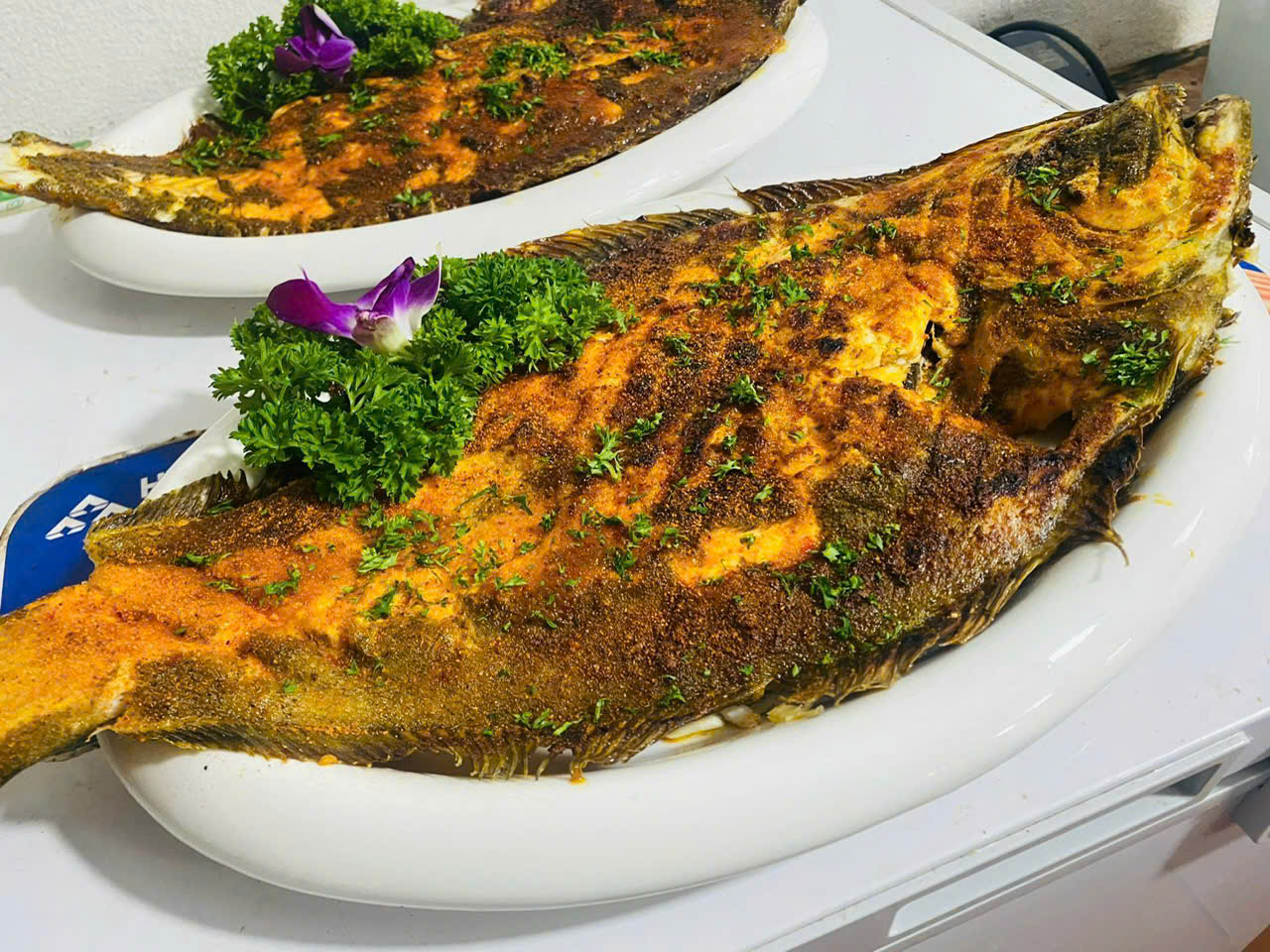 Korean flounder