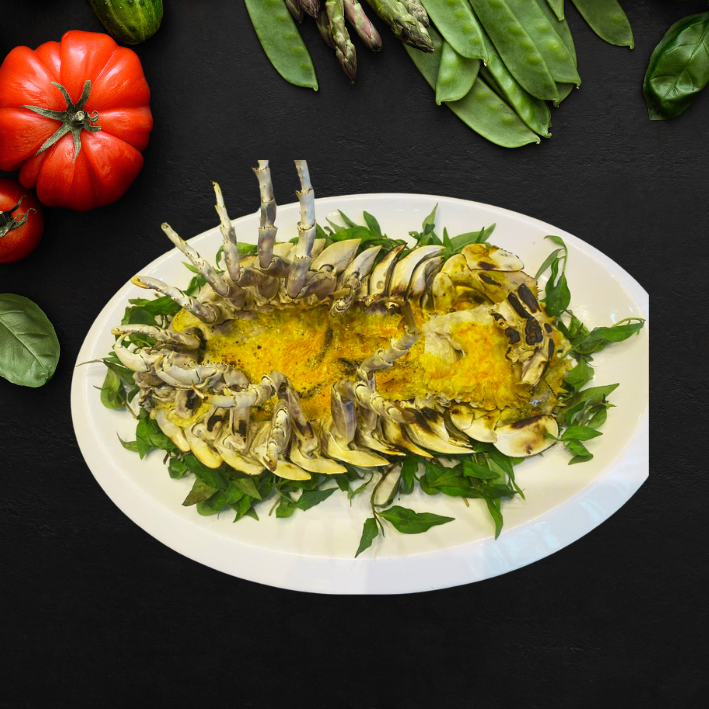 Slipper lobster