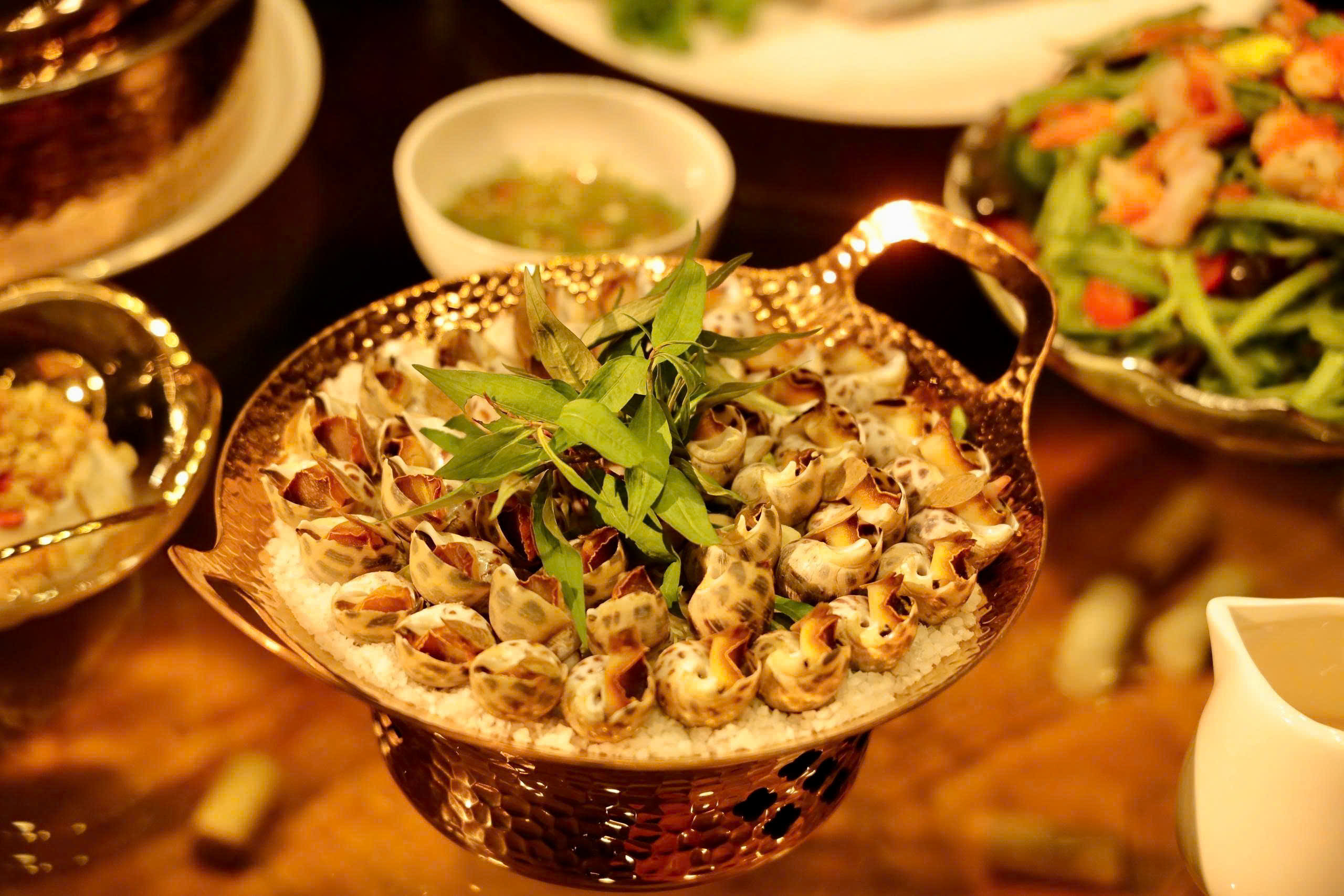 Babylon sea snails