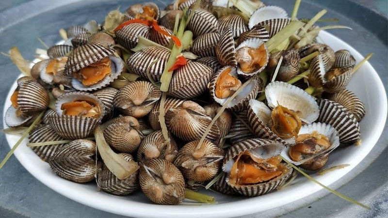 Blood cockles