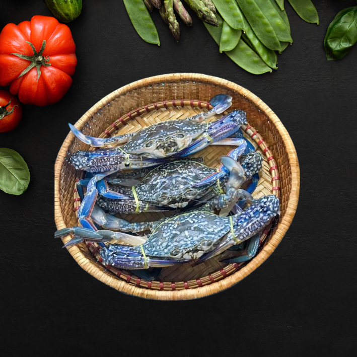 Blue swimmer crab
